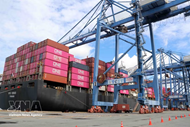 Viet Nam emerges as attractive destination for Italian investment